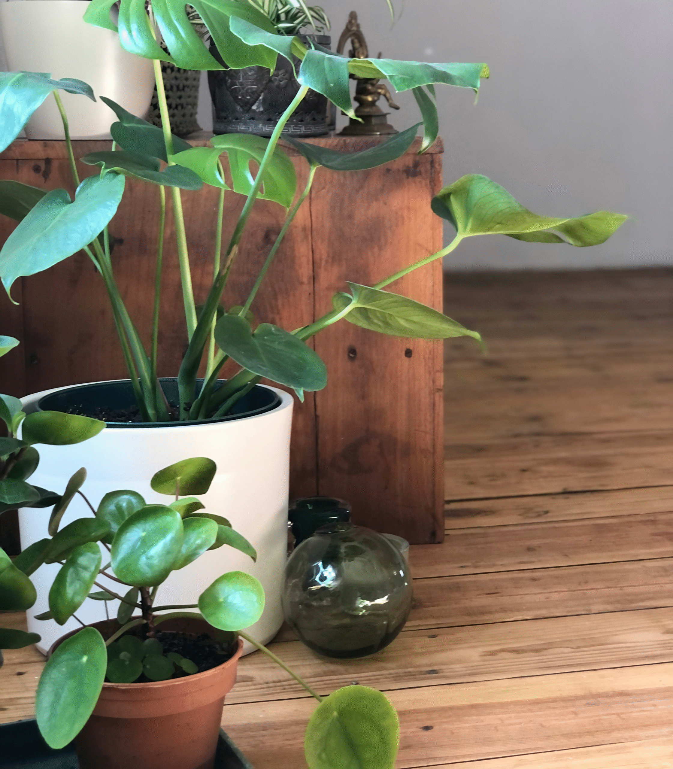 Studio illustrasjonsbilde